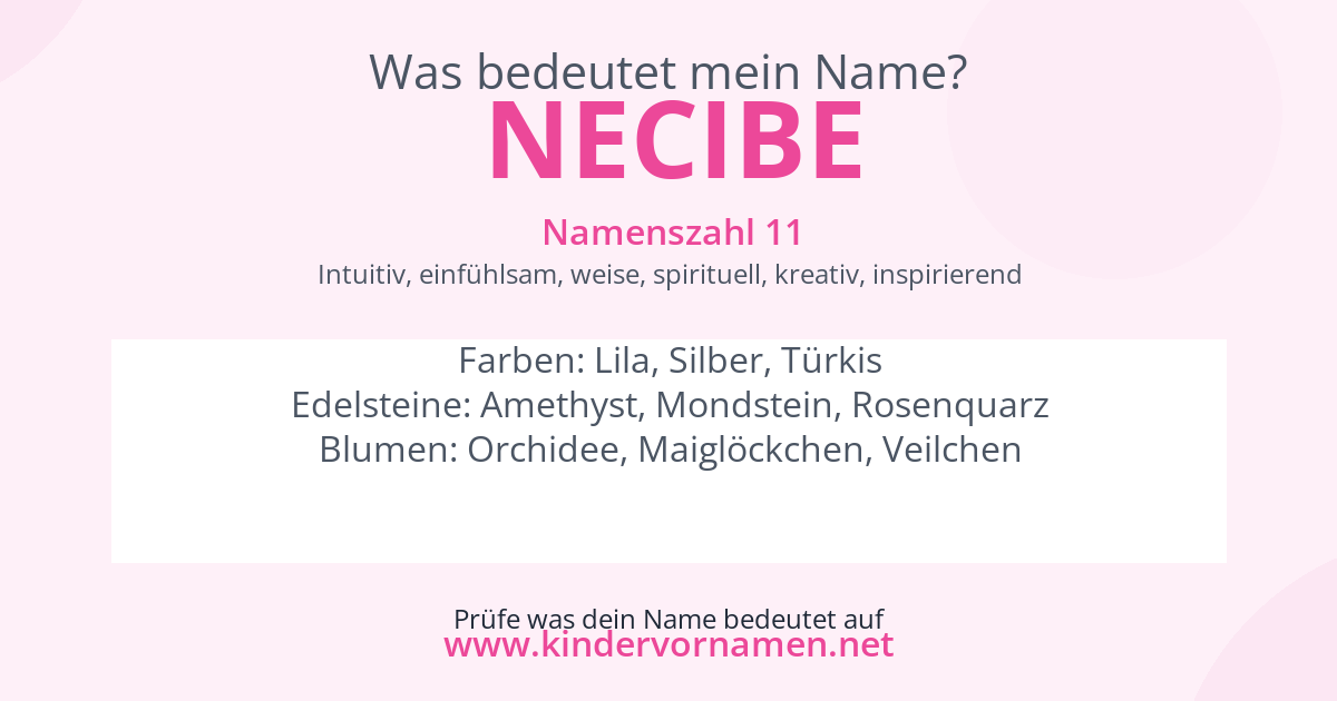 Was bedeutet der Name Necibe?